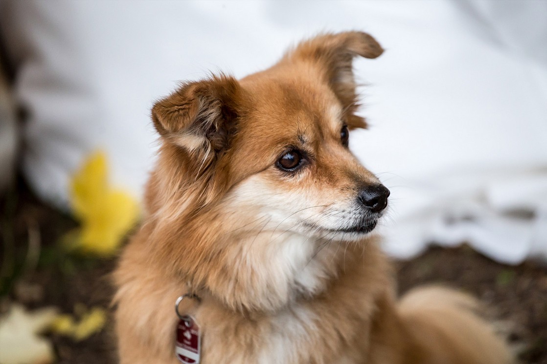 Natalie Schampaul Fotografie