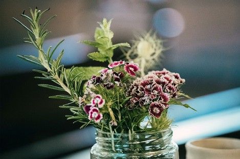 flora-floral-flowers-blumen-natur-landschaft-makro-fotografie-natalie-schampaul-22.jpg