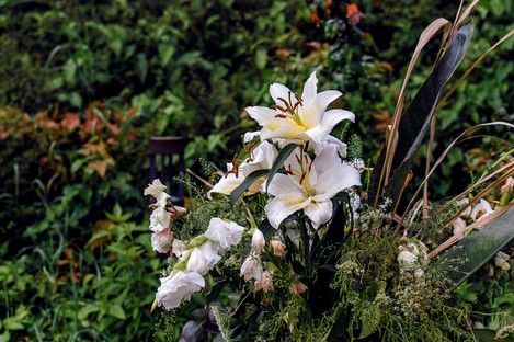 fotografie-natur-outdoor-flowers-flora-blumen-natalie-schampaul-11.jpg