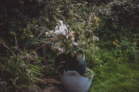 fotografie-natur-outdoor-flowers-flora-blumen-natalie-schampaul-25.jpg