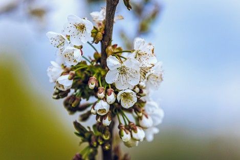 natur-landschaft-makro-insekten-sommer-fotos-fotografie-natalie-schampaul-107.jpg