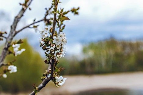 natur-landschaft-makro-insekten-sommer-fotos-fotografie-natalie-schampaul-110.jpg