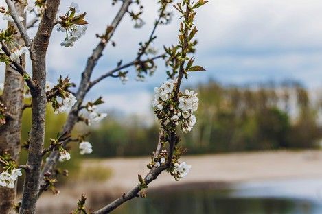 natur-landschaft-makro-insekten-sommer-fotos-fotografie-natalie-schampaul-112.jpg