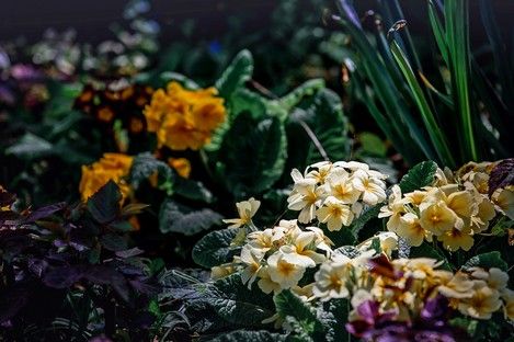 natur-landschaft-makro-insekten-sommer-fotos-fotografie-natalie-schampaul-124.jpg