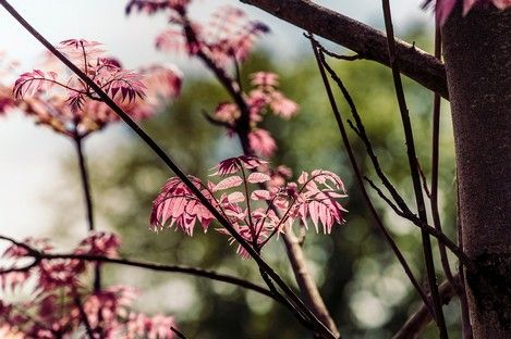 natur-landschaft-makro-insekten-sommer-fotos-fotografie-natalie-schampaul-95.jpg