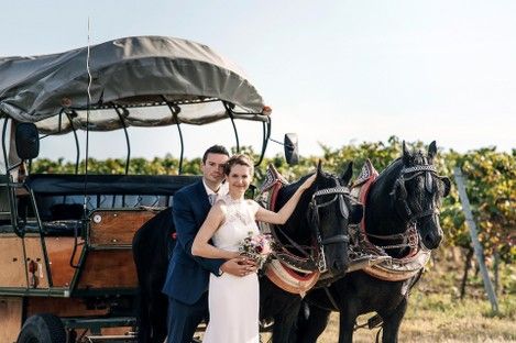 weinstrasse-pfalz-freinsheim-hochzeit-weinberge-weinlaube-brautpaar-hochzeitsfotos-pferde-kutsche-fotoshooting-natalie-schampaul-2.jpg