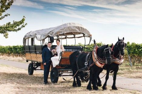 weinstrasse-pfalz-freinsheim-hochzeit-weinberge-weinlaube-brautpaar-hochzeitsfotos-pferde-kutsche-fotoshooting-natalie-schampaul-3.jpg
