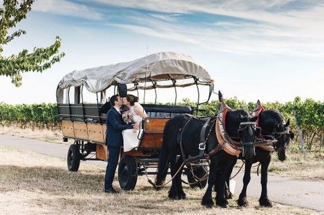 weinstrasse-pfalz-freinsheim-hochzeit-weinberge-weinlaube-brautpaar-hochzeitsfotos-pferde-kutsche-fotoshooting-natalie-schampaul-4.jpg
