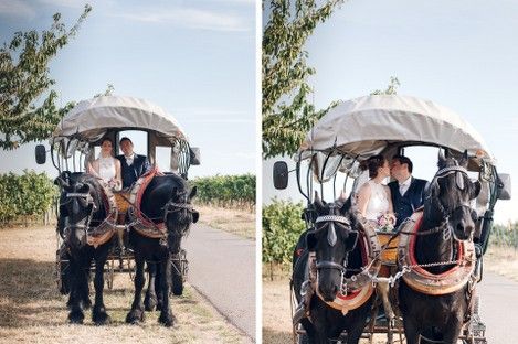 weinstrasse-pfalz-freinsheim-hochzeit-weinberge-weinlaube-brautpaar-hochzeitsfotos-pferde-kutsche-fotoshooting-natalie-schampaul-5.jpg