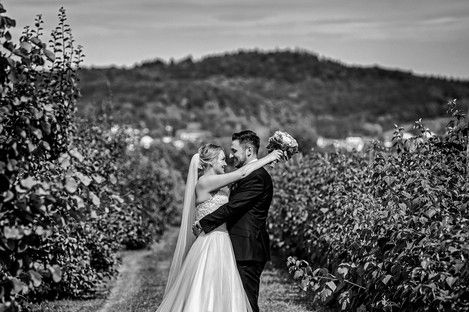 hochzeitsfotos-weingut-schroeder-heddesheim-brautkleid-rosa-fotograf-natalie-schampaul-10.jpg