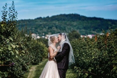 hochzeitsfotos-weingut-schroeder-heddesheim-brautkleid-rosa-fotograf-natalie-schampaul-9.jpg