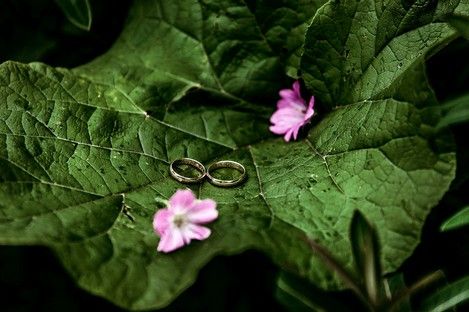 hochzeitsfotografie-ebertpark-hochzeit-park-brautpaar-ludwigshafen-schampaul-13.jpg